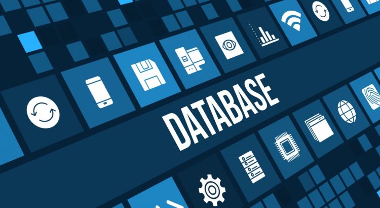Database