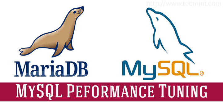 Mysql and Mariadb