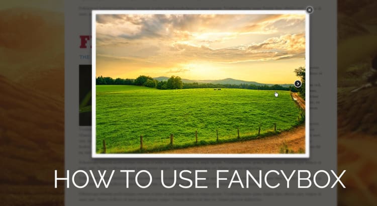 Fancybox Jquery