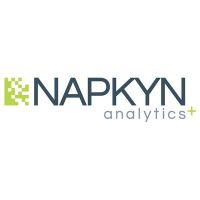 Napkyn Analytics
