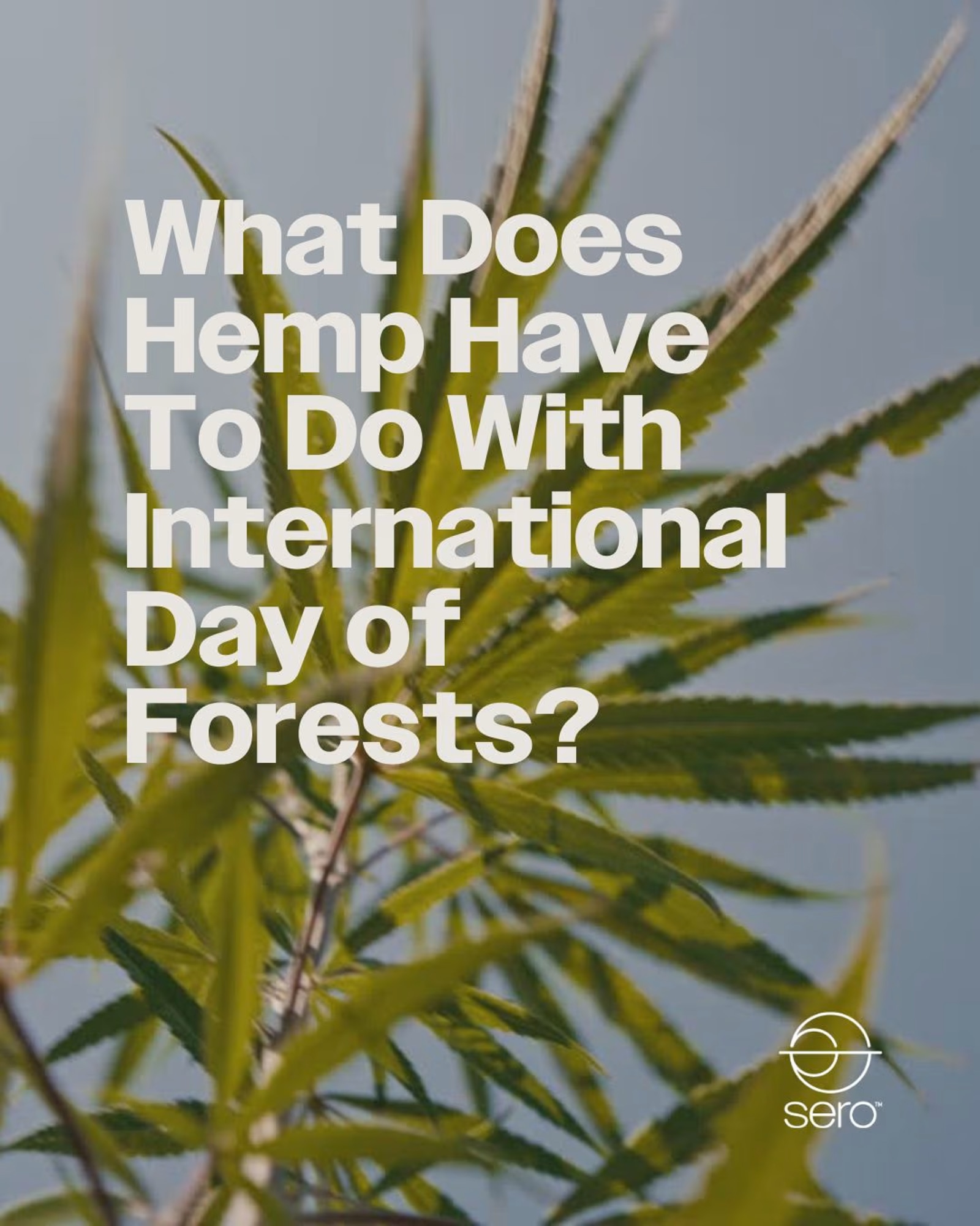 Sero - Graphics - SeroSocial-04_tccjs2