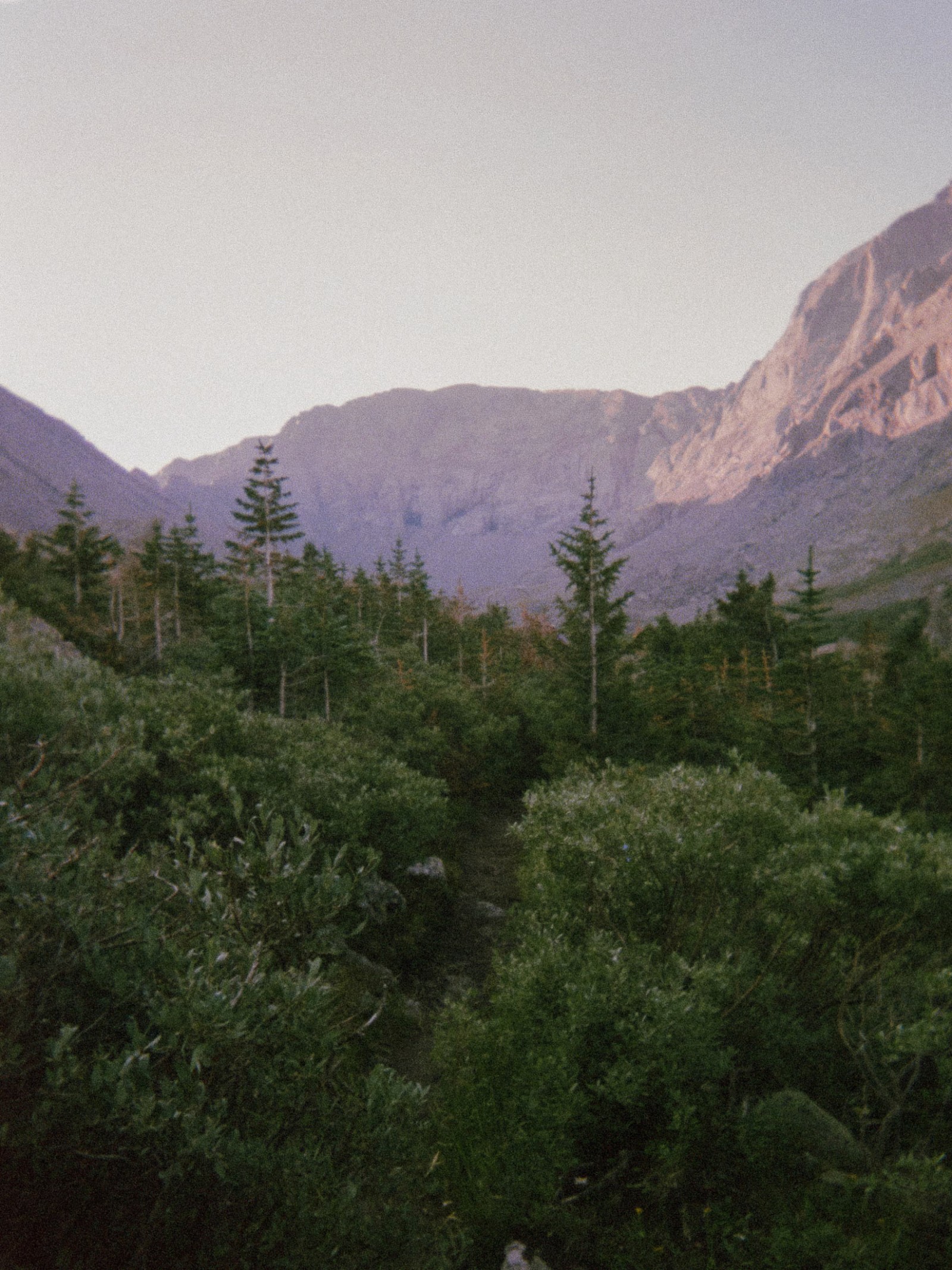 Rocky Mountain Field Institute - EarthCorpsFilm-08_rvyuqt