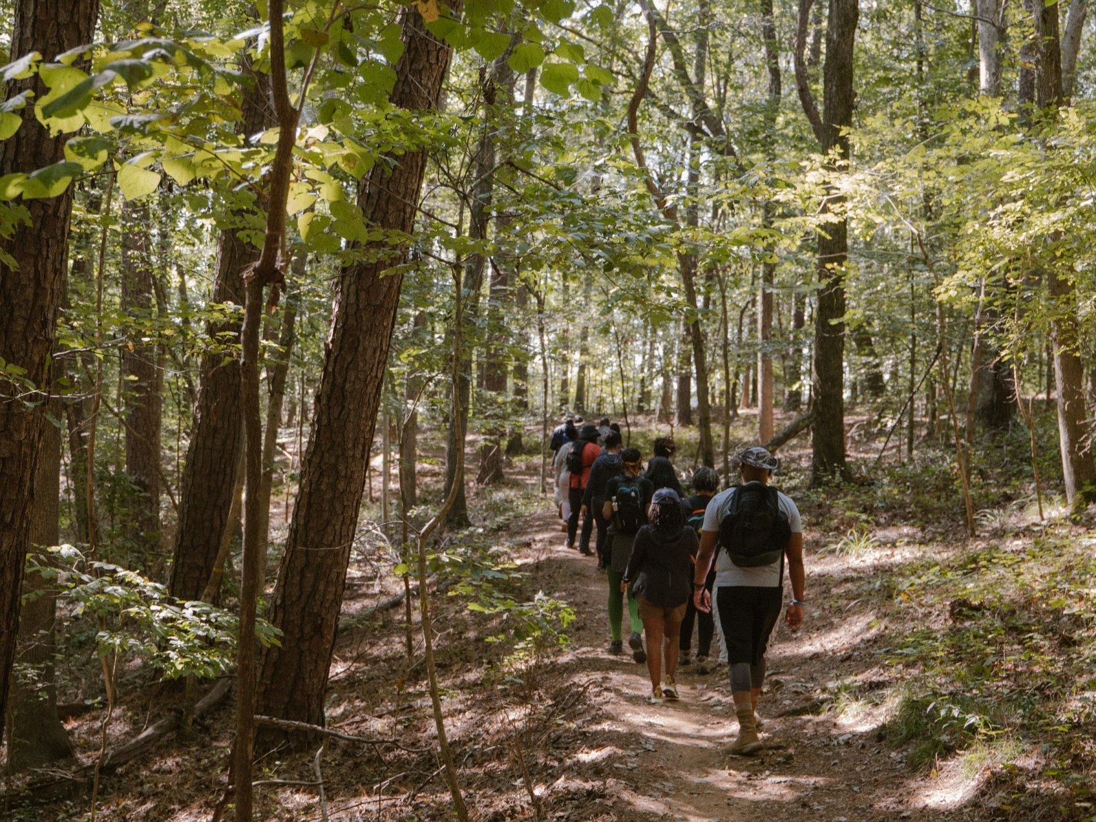 Wake County - Wake_County_11_a7jv62