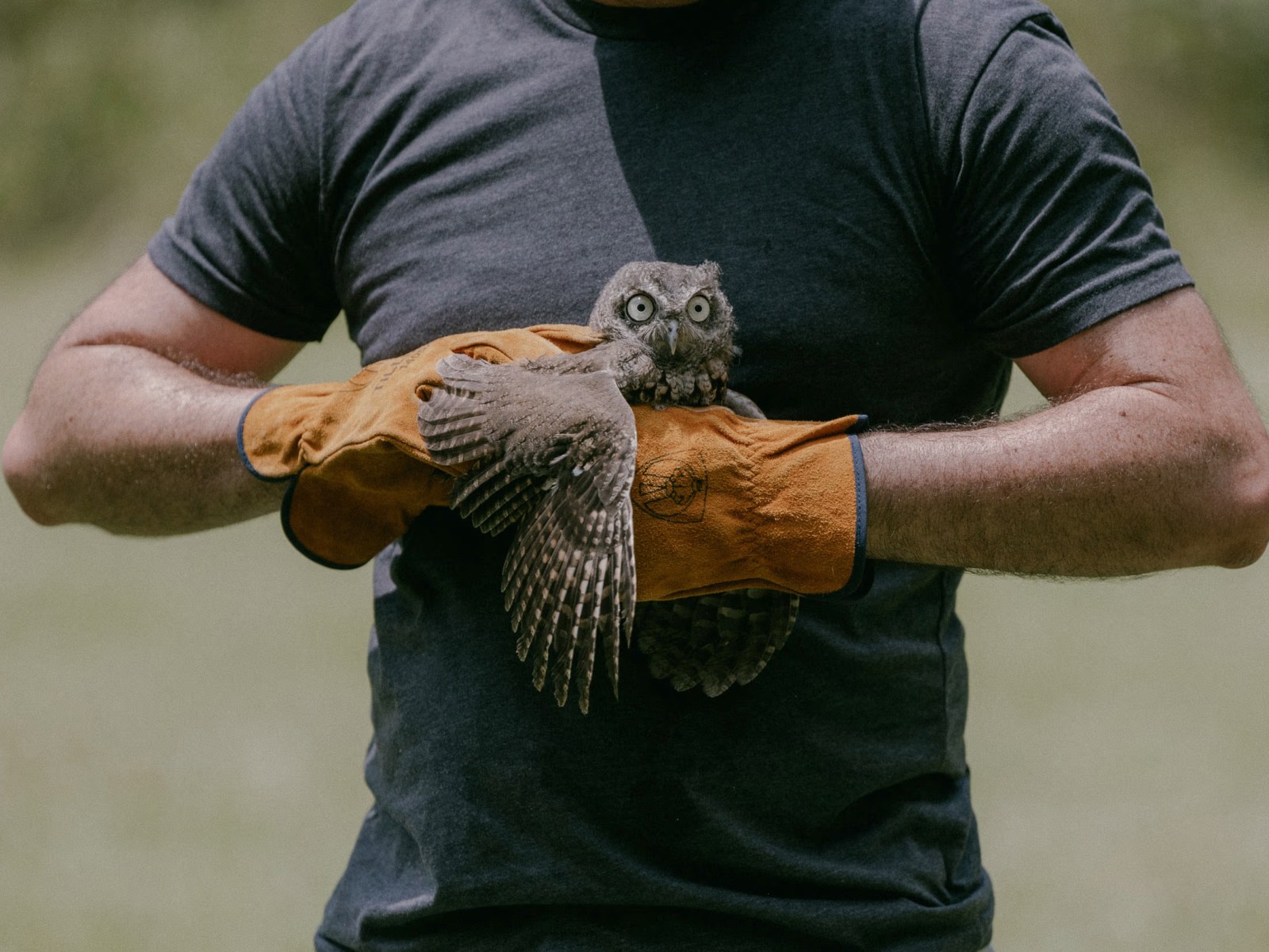 Wake County - Wake_County_5_ucubto