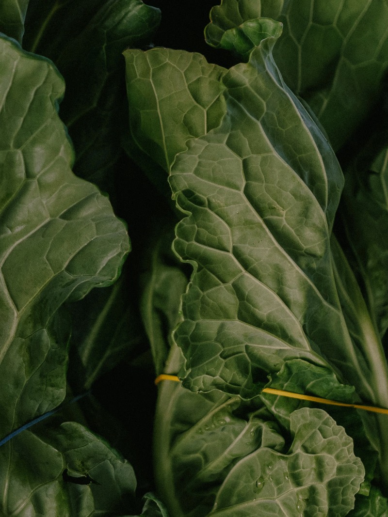 North Carolina Department of Agriculture - Thumbnail 1