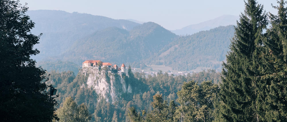 A castle above Lake Bled is seen in the distance. It sits on rocky bluff several hundred metres above the lake. The castle is white with terracotta tiles. It is made of several buildings. A tower stands separate. Evergreen trees frame the castle. Mountains are seen in the distance.