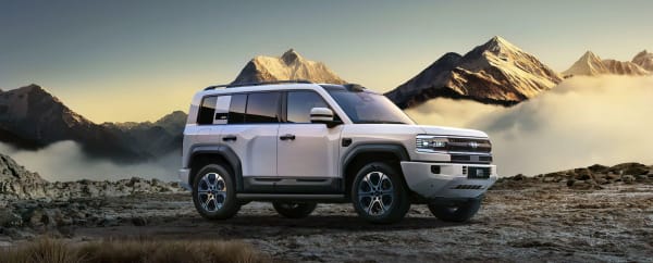 FANG CHENG BAO LEOPARD 5 used vehicle for export