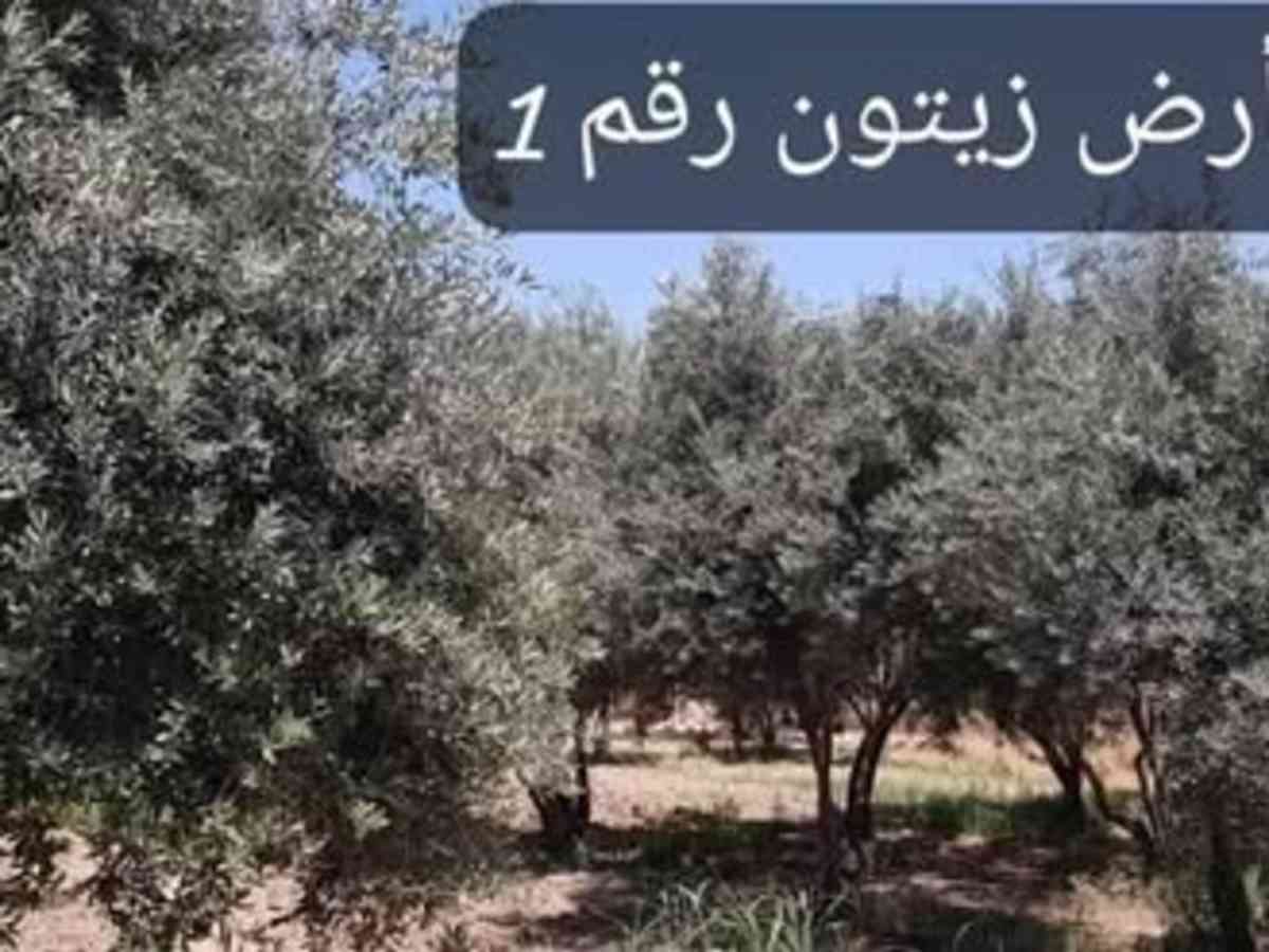 أرض 20780م² للبيع