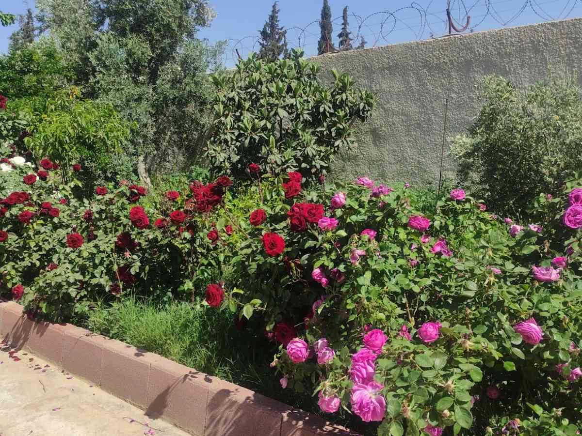 فيلا 225م² للبيع