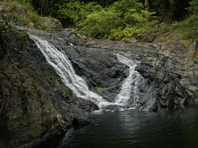 A flowing waterfall at Artists Cascades