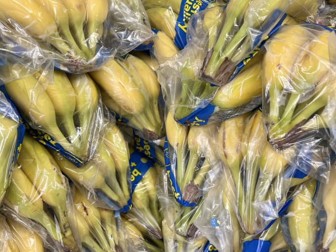 Banana bunches wrapped in plastic bags