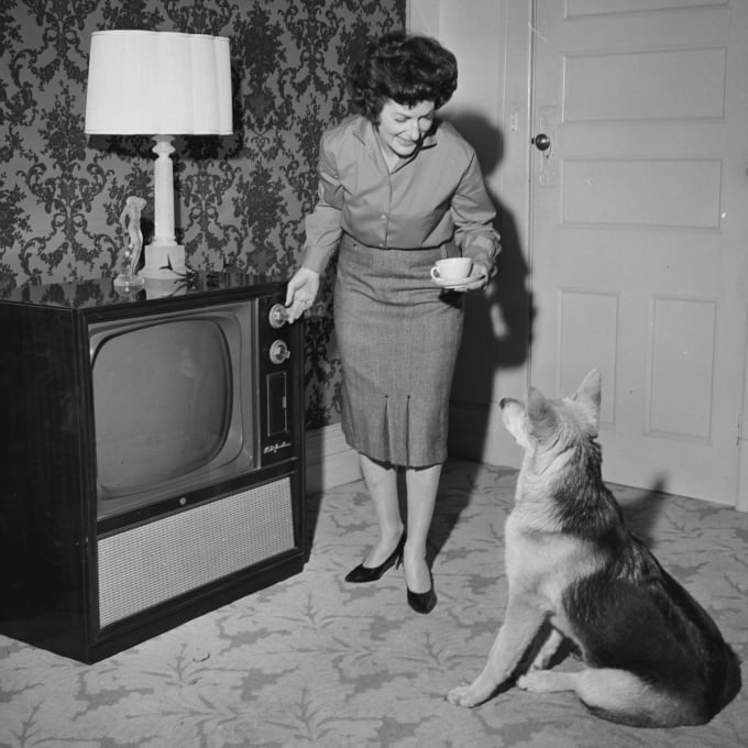 A dog watching TV with a woman appearing to serve it a cup of tea
