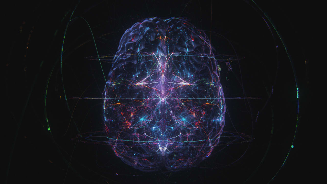 Healthy Brains