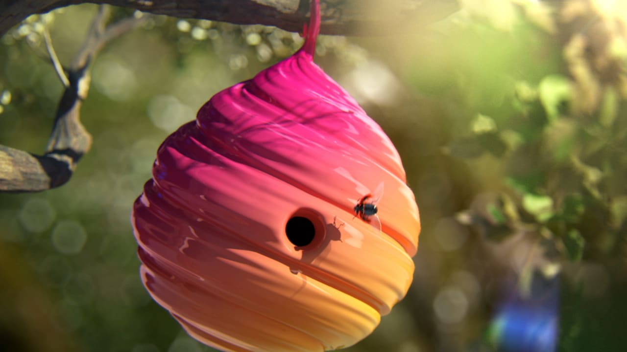 CTC Spring Idents