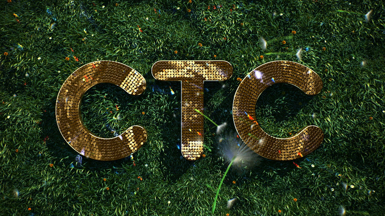 CTC Spring Idents