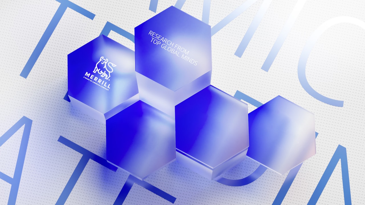 Merrill Lynch Part II — process still 20