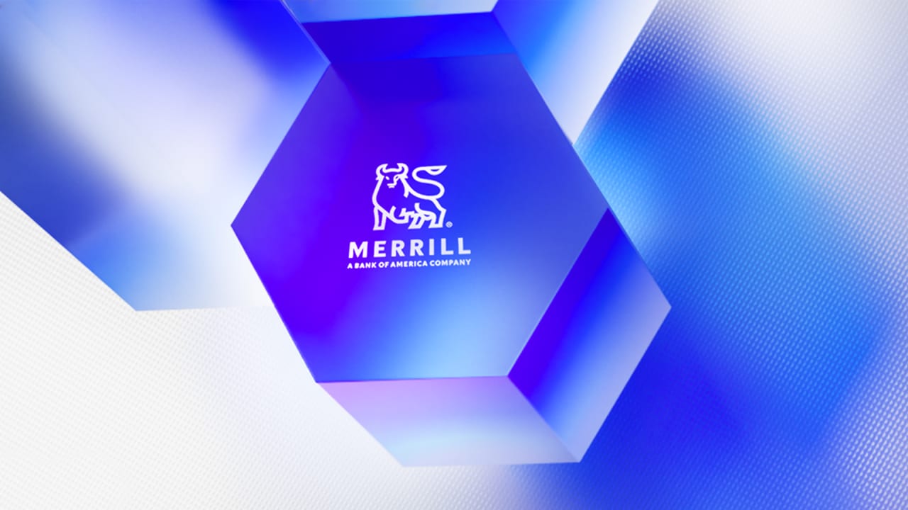 Merrill Lynch Part II — process still 13