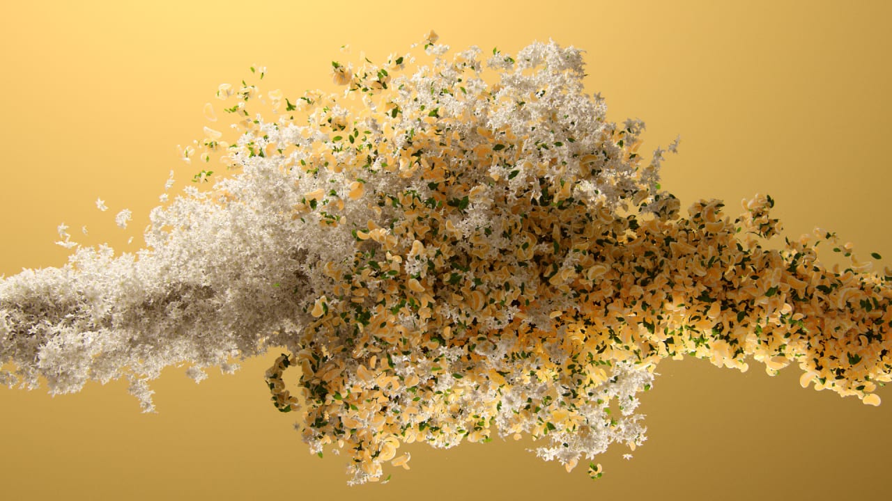 Lysol — process still 4