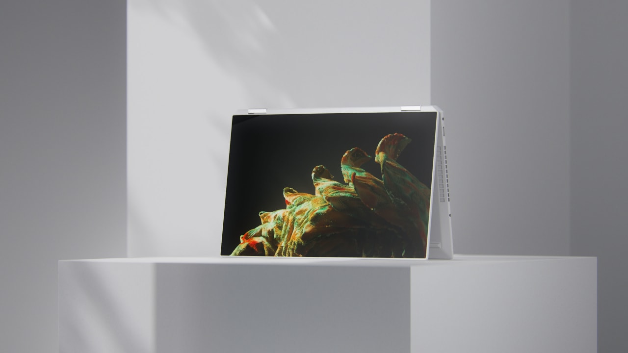 Wallpapers
