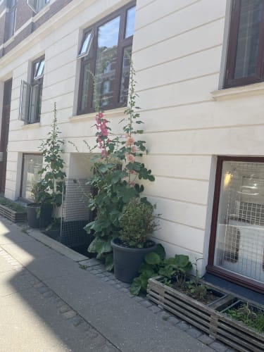 Kontorfællesskab/Sy-værksted midt på Vesterbro 108m2