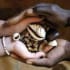 TRADITIONAL HEALER [+27810966444]] ╬ SANGOMA TO BRING BACK LOST LOVE 