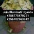 Illuminati Agent in Kampala Uganda call 🤙+256775470251/0702963942