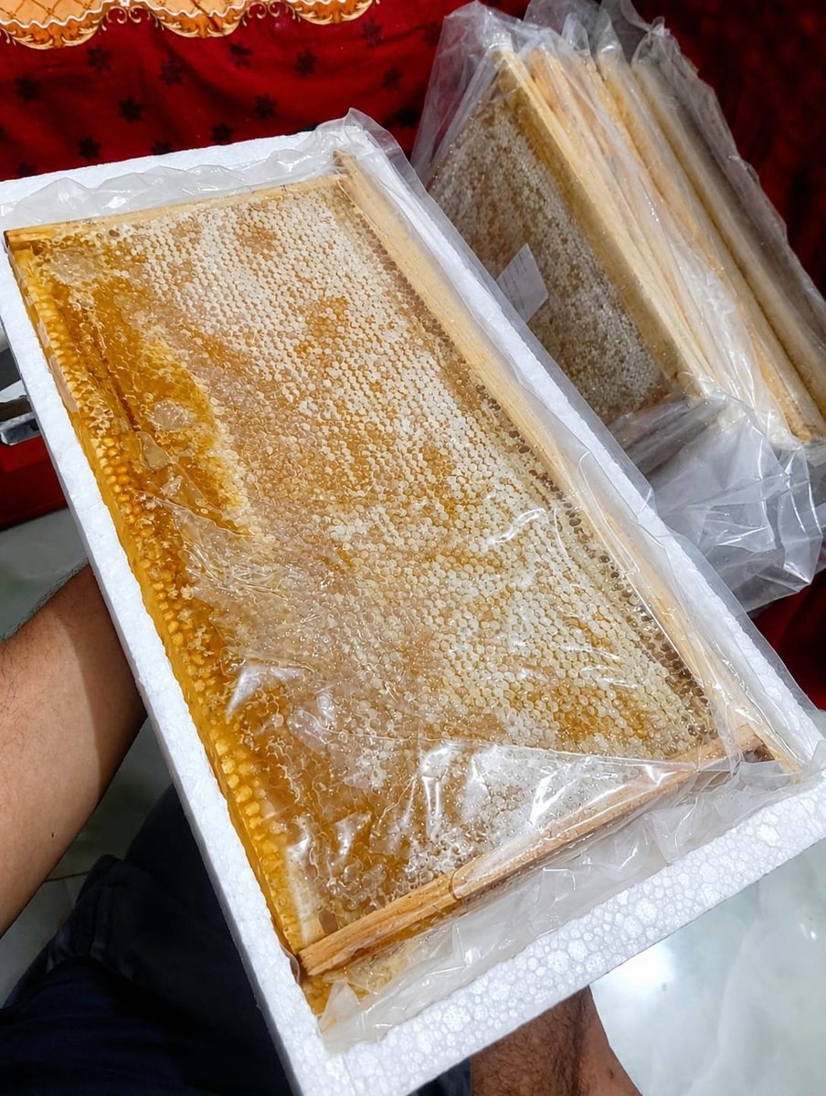 Wild Honeycomb ( বন্য মৌচাক সহ মধু ) 