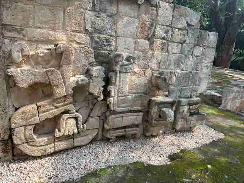 Sabiduría ancestral Maya