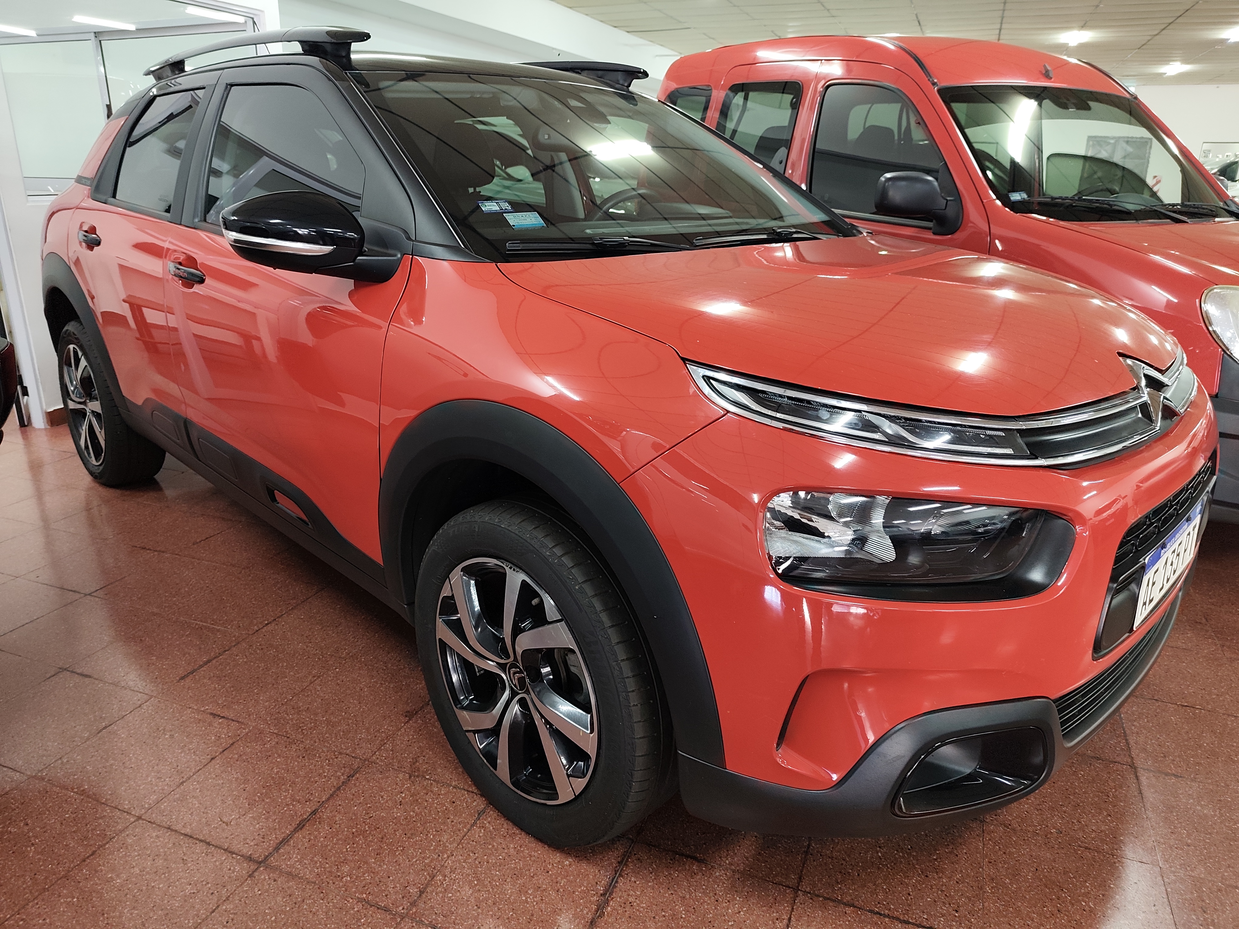 Auto C4 Cactus thp 165