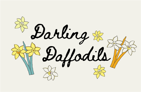 Darling Daffodils/kekz8hykpuhdhifrazxv