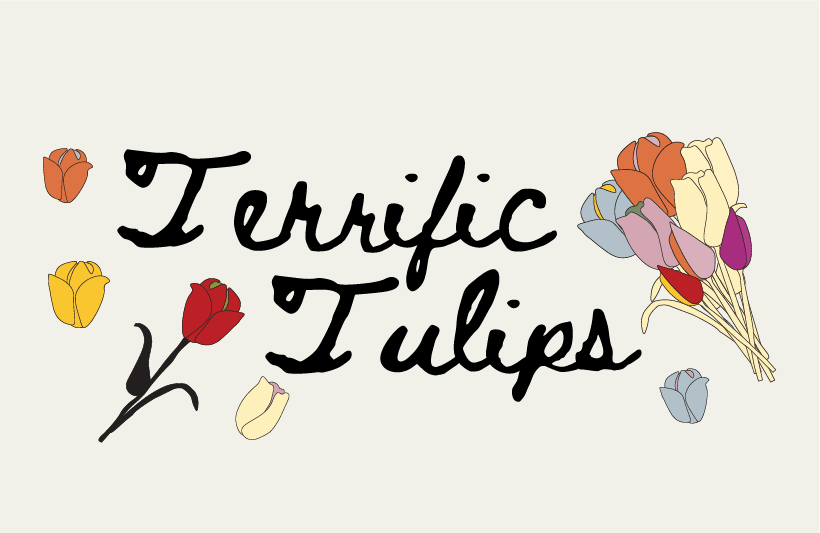 Terrific Tulips/thumbnail