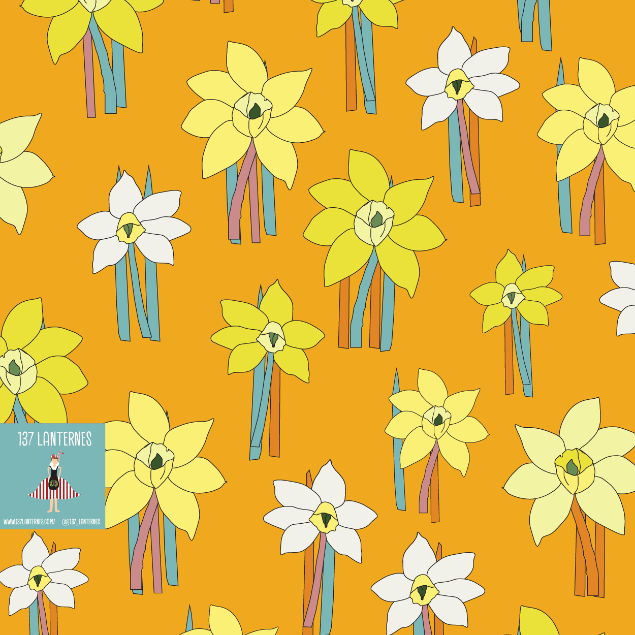 Darling Daffodils/azeq4zjbk5dsppgsy5sd