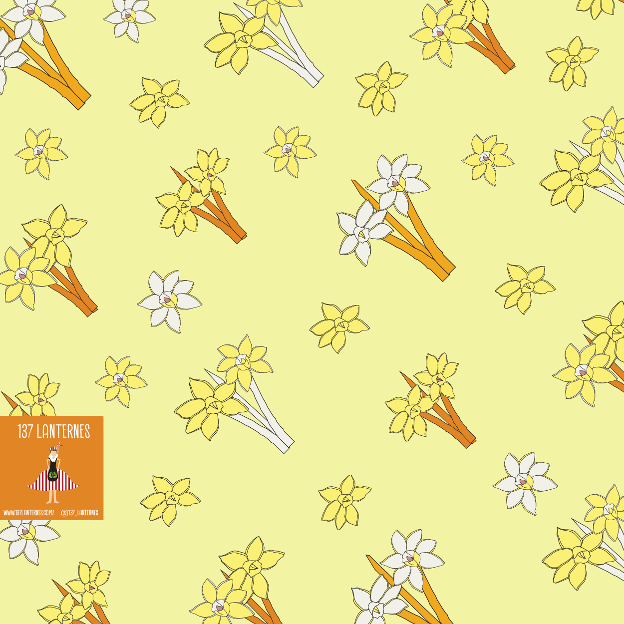 Darling Daffodils/ny5ho1wyepjhqfc7tnt9