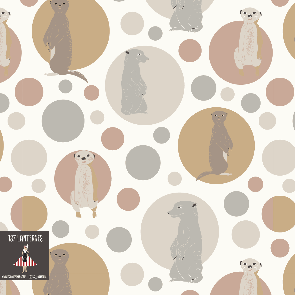 Meerkat Family/fh1ibncyrmrklppzml0z