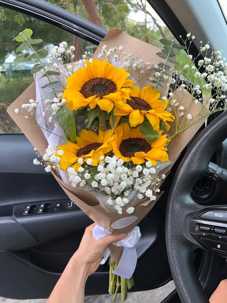 Girasoles