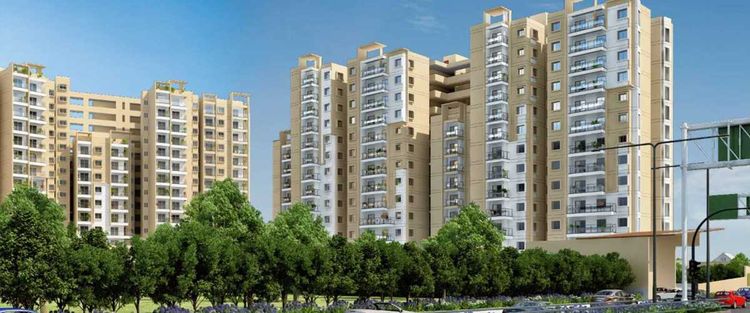 Expert Review of Meda Heights