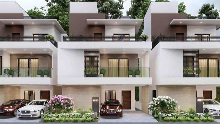Expert Review of Avani Adobe