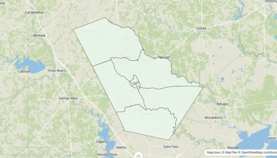Map preview of Bee County, TX - Housing Vacancy Rate