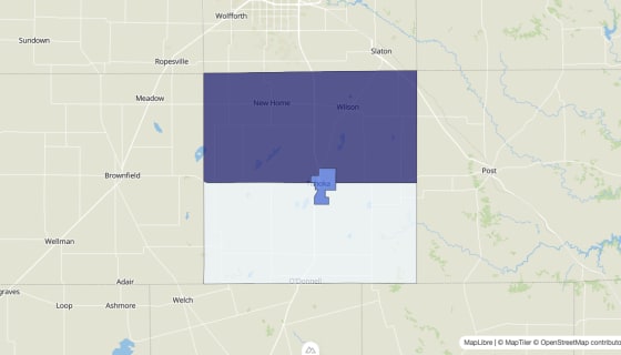 Map preview of Lynn County, TX - Median Home Value