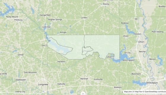 Map preview of Marion County, TX - Housing Vacancy Rate