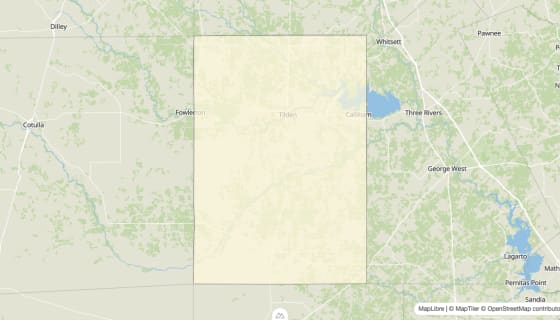 Map preview of McMullen County, TX - Median Gross Rent