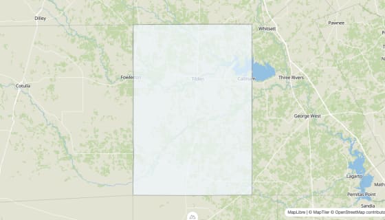 Map preview of McMullen County, TX - Median Home Value