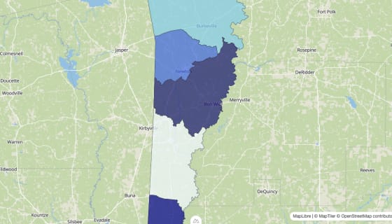 Map preview of Newton County, TX - Median Home Value