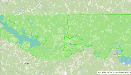 Map preview of Marion 
  County, TX - Census Tracts