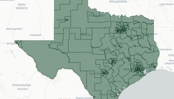 Map preview of Texas House Vote — SB 15 (86-43)