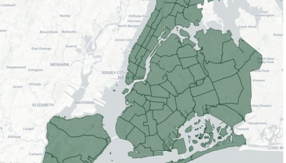 Map preview of NYC Community Districts