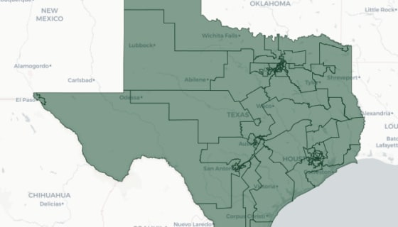 Map preview of Texas Congressional Districts — Party Control (2021)