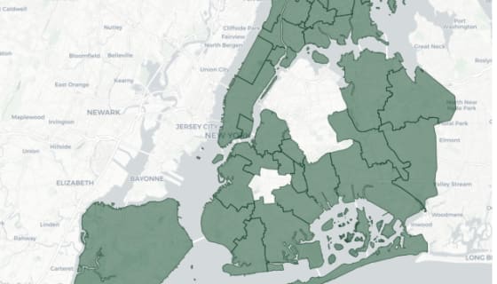 Map preview of NYC School Districts
