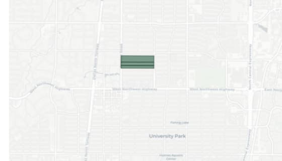 Map preview of Dallas — NSO Subdistricts