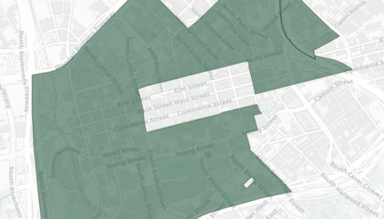 Map preview of Dallas — Central Area Zoning